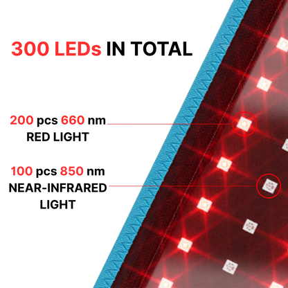Red Light Pain Relief Belt